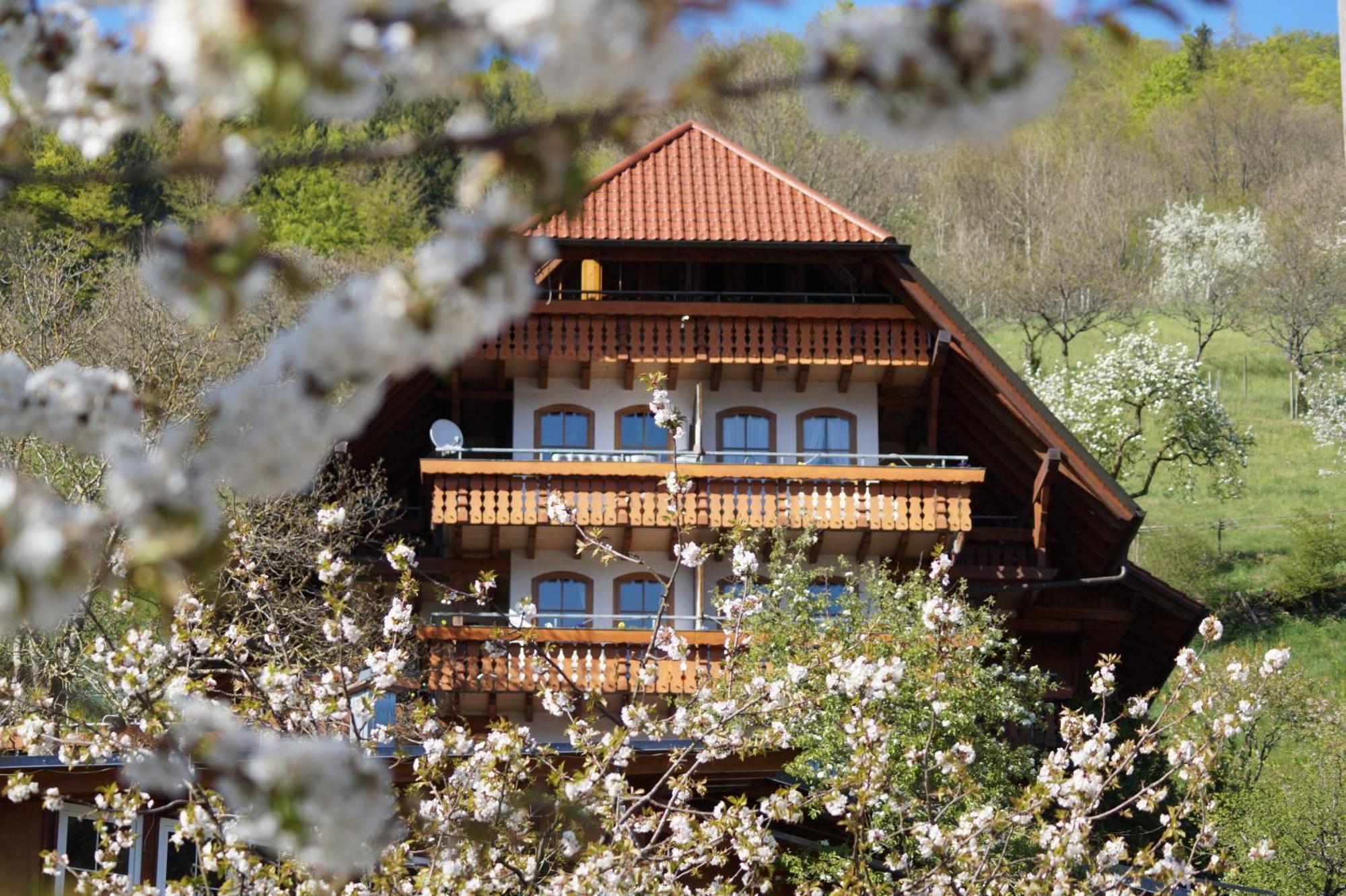 Kurparkhotel Faißt Bad Peterstal-Griesbach Exterior foto