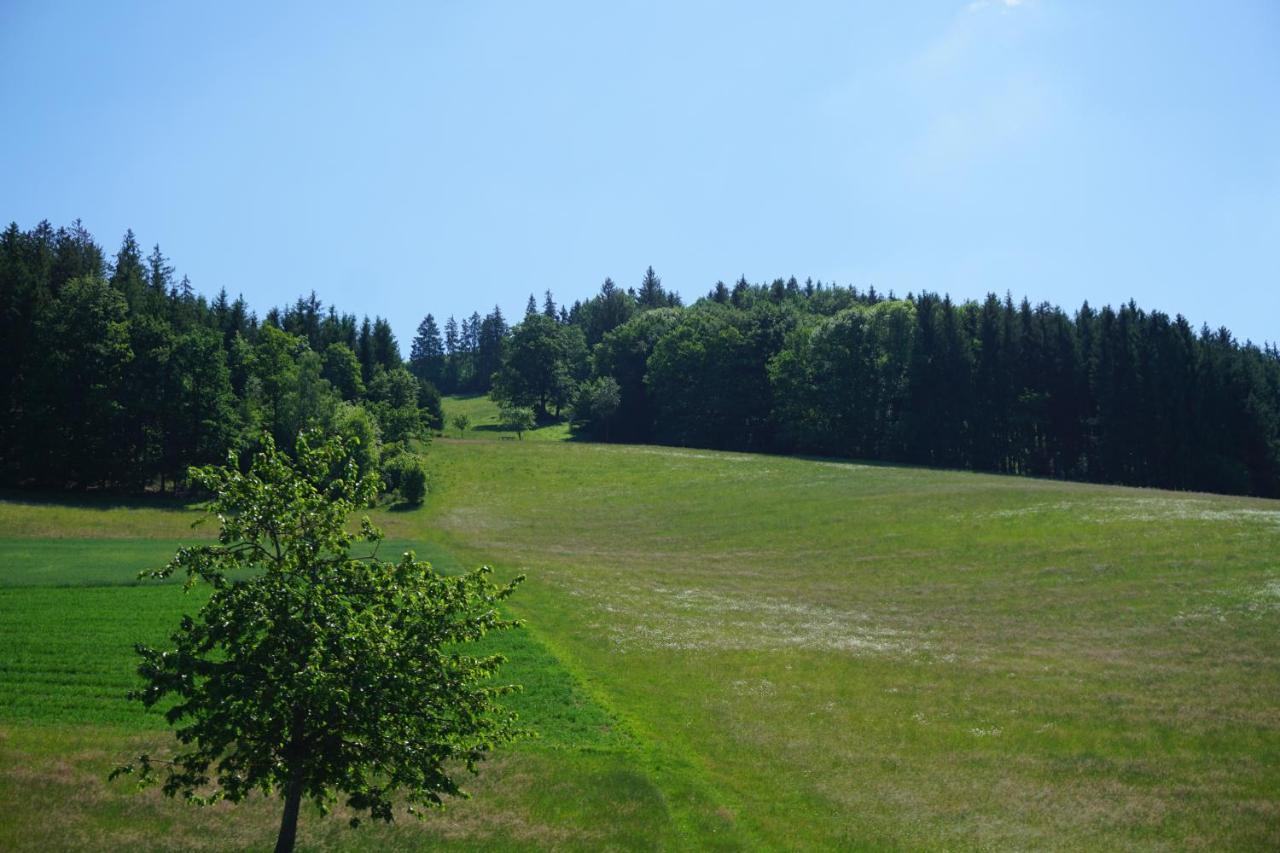 Kurparkhotel Faißt Bad Peterstal-Griesbach Exterior foto